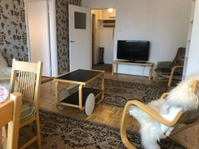 Savonniemen loma-asunto Savonlinna